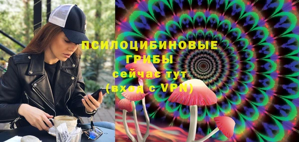 ECSTASY Строитель