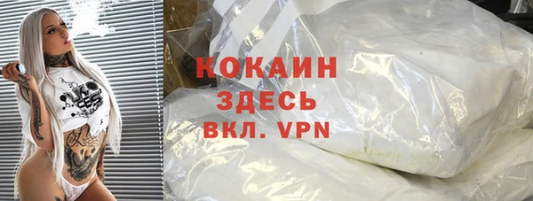 хмурый Вяземский