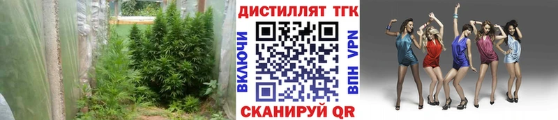 Дистиллят ТГК вейп с тгк  Осташков 