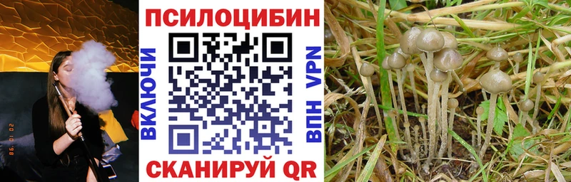 Галлюциногенные грибы мухоморы  shop наркотические препараты  Осташков  OMG как зайти 
